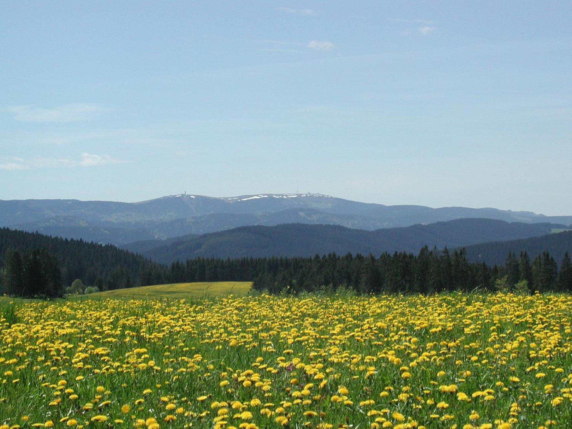 Cafe-Pension Feldbergblick ทิทิเซ-นอยชตัดท์ ภายนอก รูปภาพ