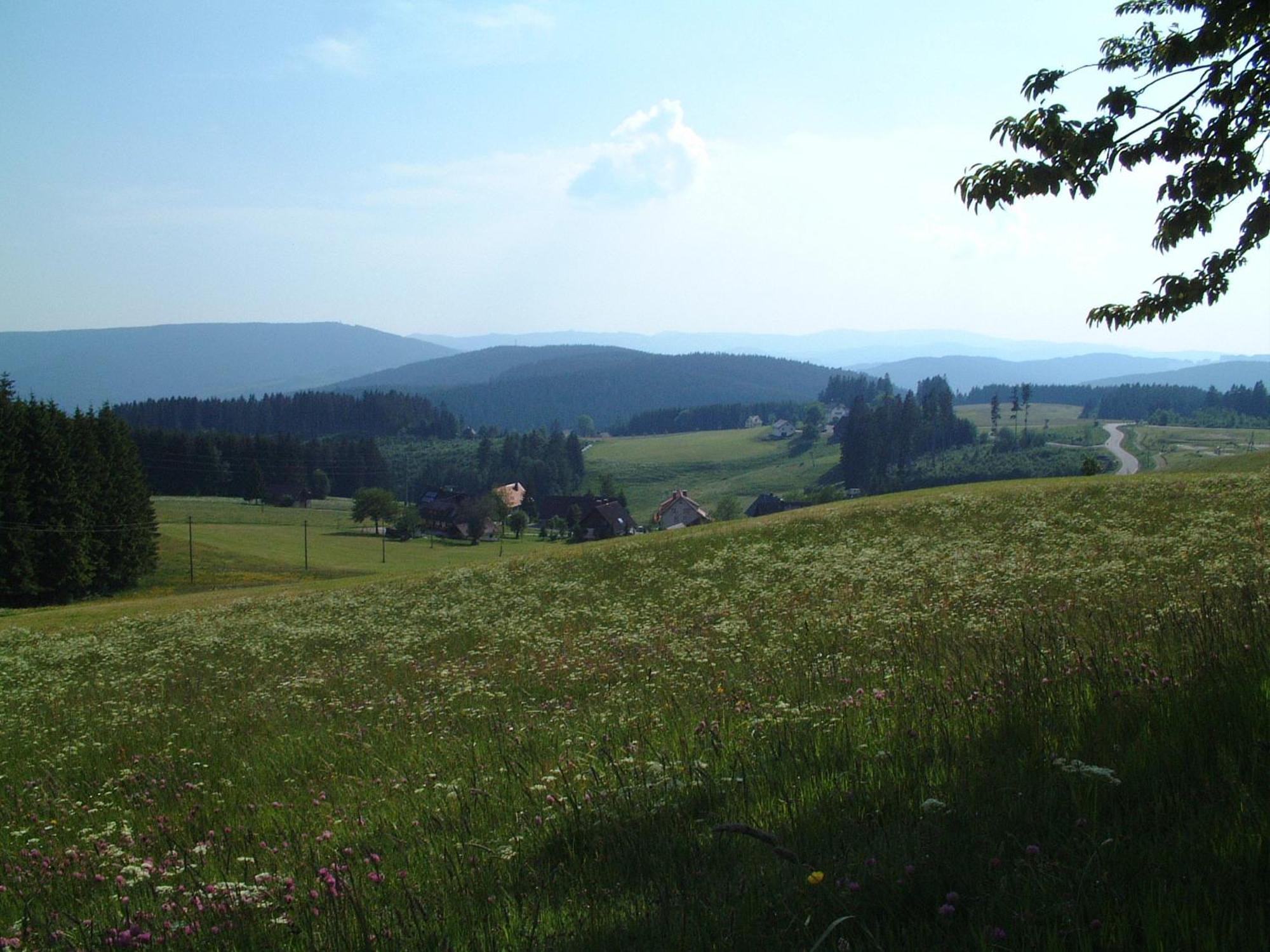 Cafe-Pension Feldbergblick ทิทิเซ-นอยชตัดท์ ภายนอก รูปภาพ