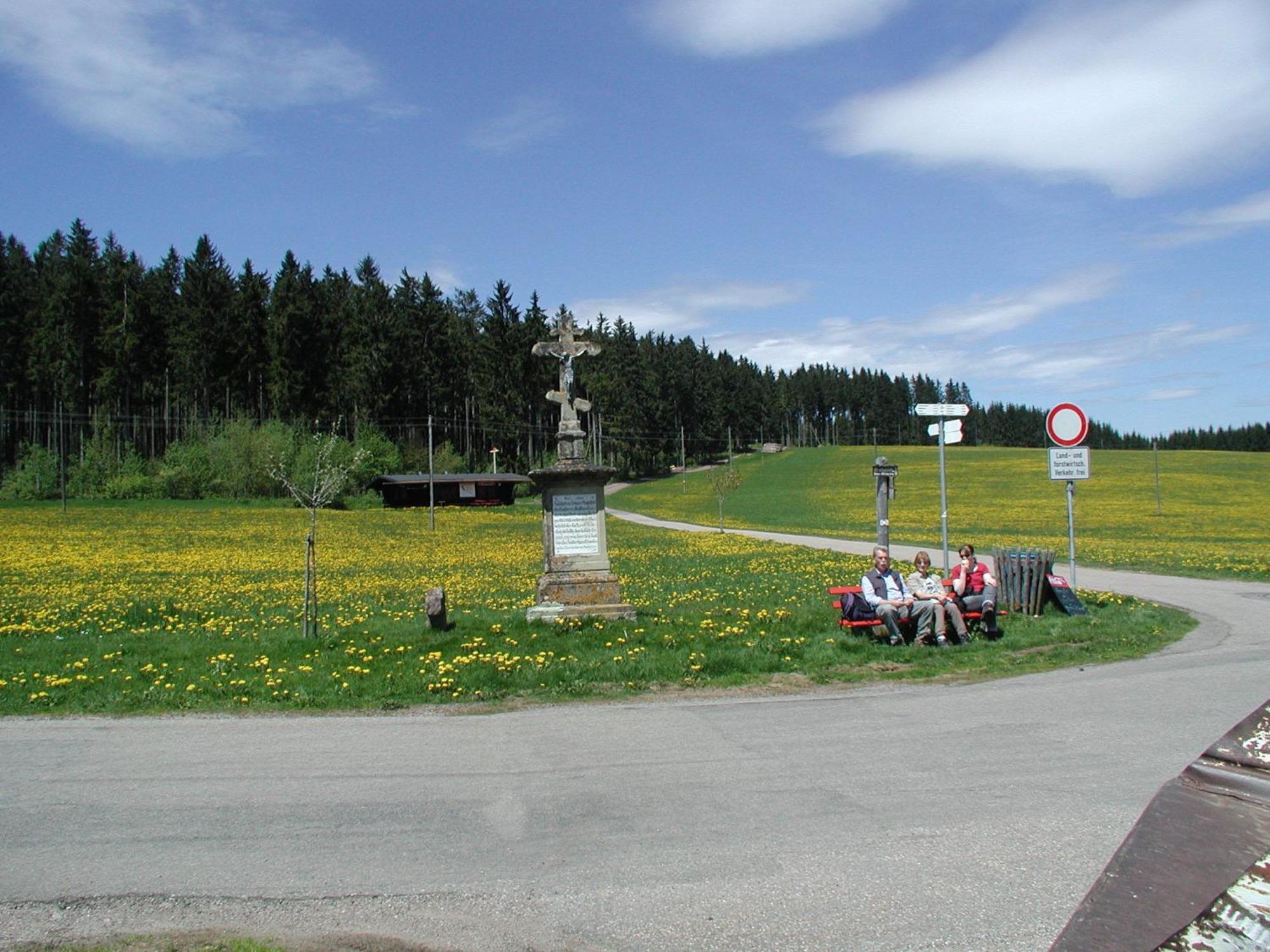 Cafe-Pension Feldbergblick ทิทิเซ-นอยชตัดท์ ภายนอก รูปภาพ